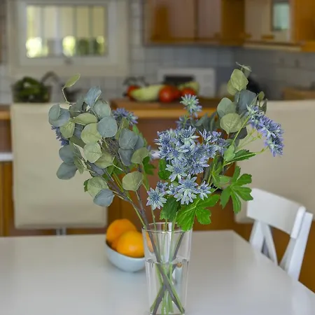 Apartman Protaras Beachfront Sirina Lina *